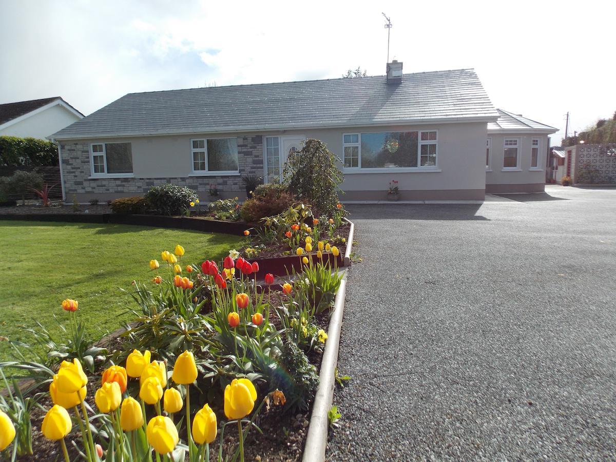 Barrow View Accommodation Mountmellick Exteriér fotografie