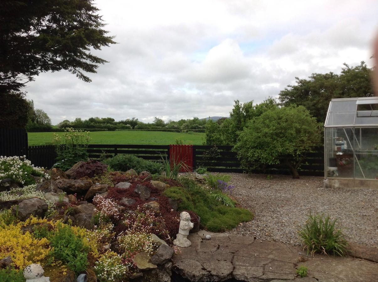 Barrow View Accommodation Mountmellick Exteriér fotografie